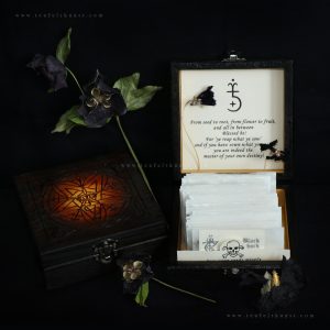 Black Flowers Seed Box 2026 - Pre-Order Sale!