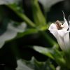3U0A7122_postcardweb