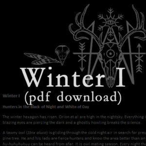 Winter I, Essay